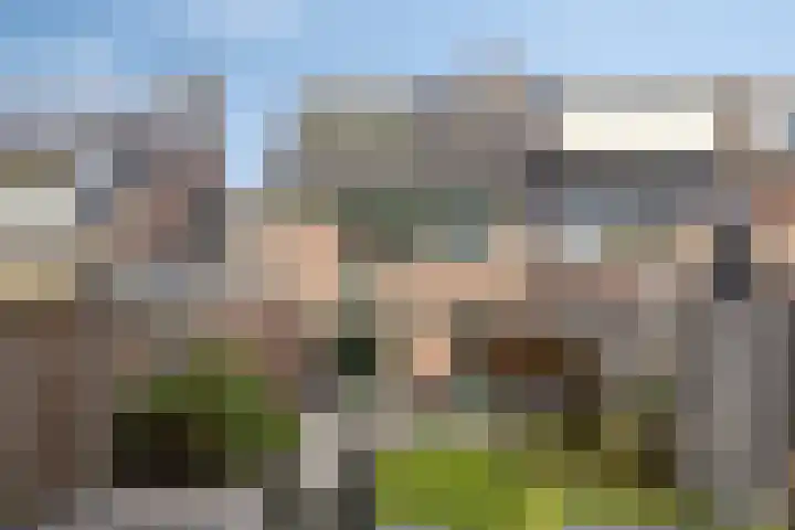 Orleanshof 5 Eindhoven thumbnail 33