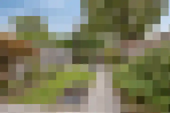 Orleanshof 5 Eindhoven thumbnail 34