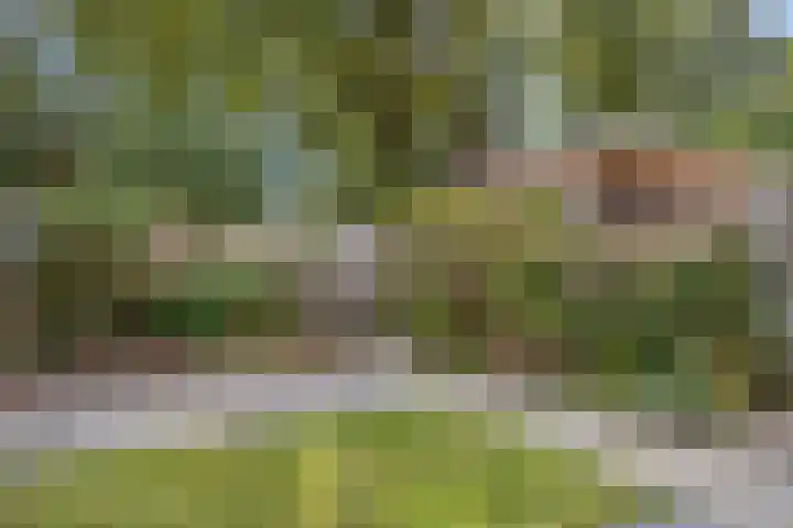 Orleanshof 5 Eindhoven thumbnail 35