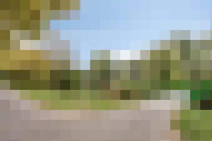 Orleanshof 5 Eindhoven thumbnail 39