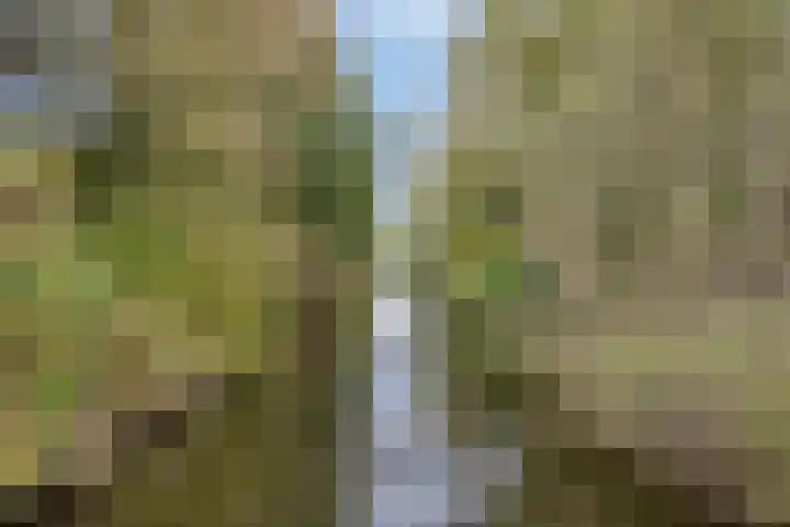 Orleanshof 5 Eindhoven thumbnail 40