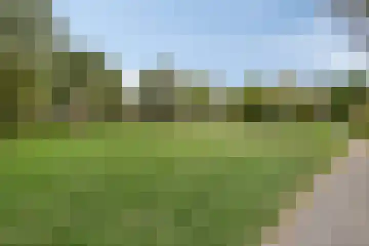 Orleanshof 5 Eindhoven thumbnail 41