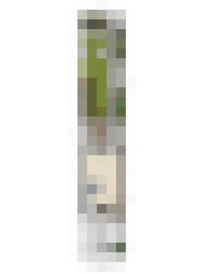 Orleanshof 5 Eindhoven thumbnail 46