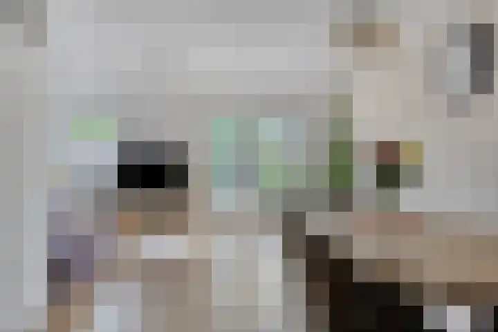 Orleanshof 5 Eindhoven thumbnail 7