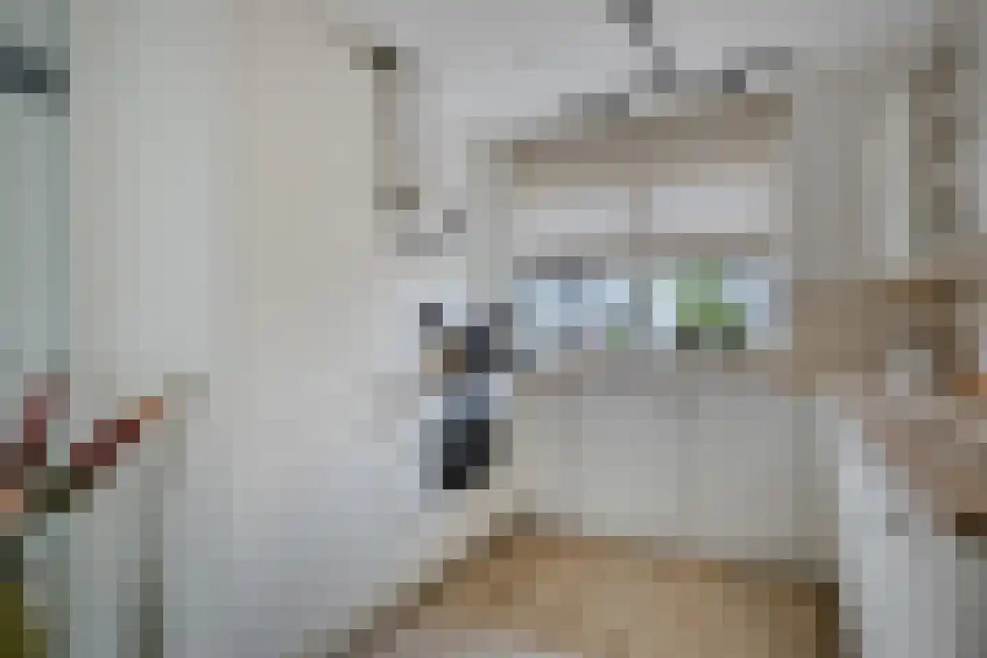 Orlofflaan 12 Barneveld thumbnail 10