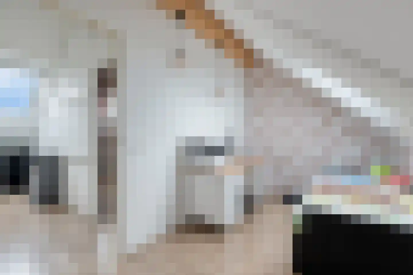 Orlofflaan 12 Barneveld thumbnail 25