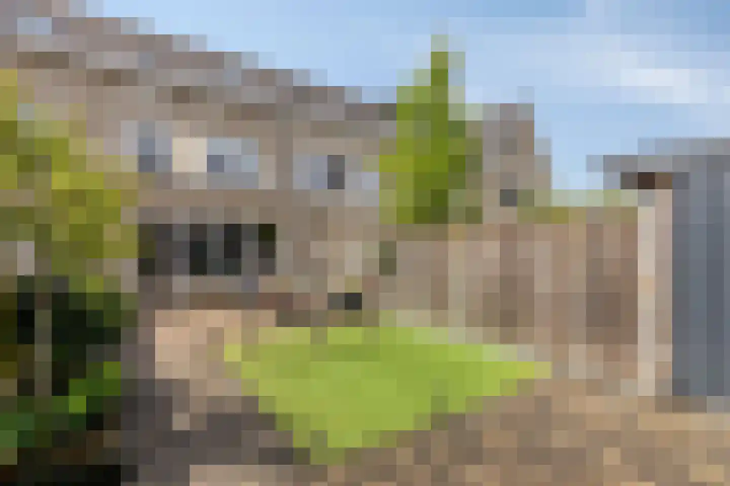 Orlofflaan 12 Barneveld thumbnail 31