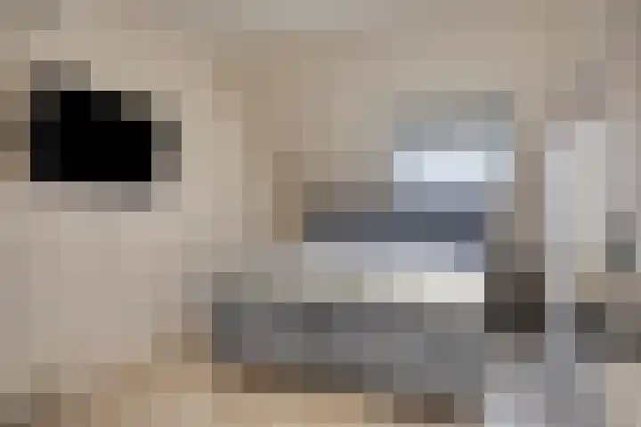 Orlofflaan 24 Barneveld thumbnail 28