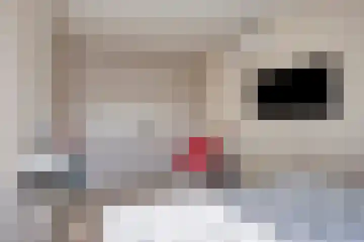 Orlofflaan 24 Barneveld thumbnail 29