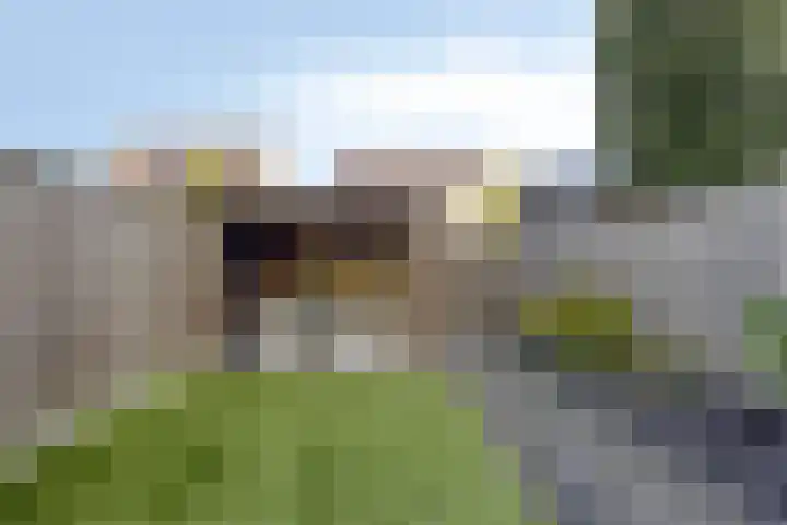 Orlofflaan 24 Barneveld thumbnail 32