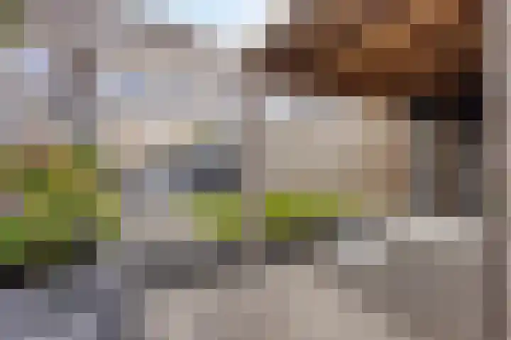 Orlofflaan 24 Barneveld thumbnail 35