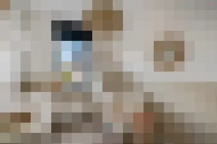 Orlofflaan 28 Barneveld thumbnail 21
