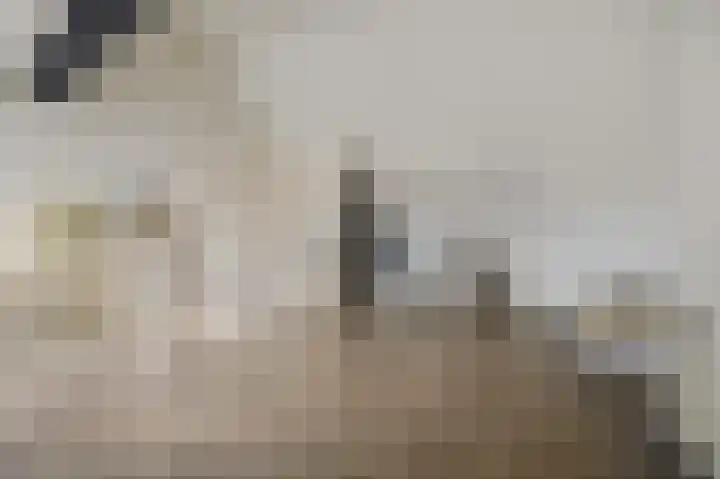 Orlofflaan 28 Barneveld thumbnail 30