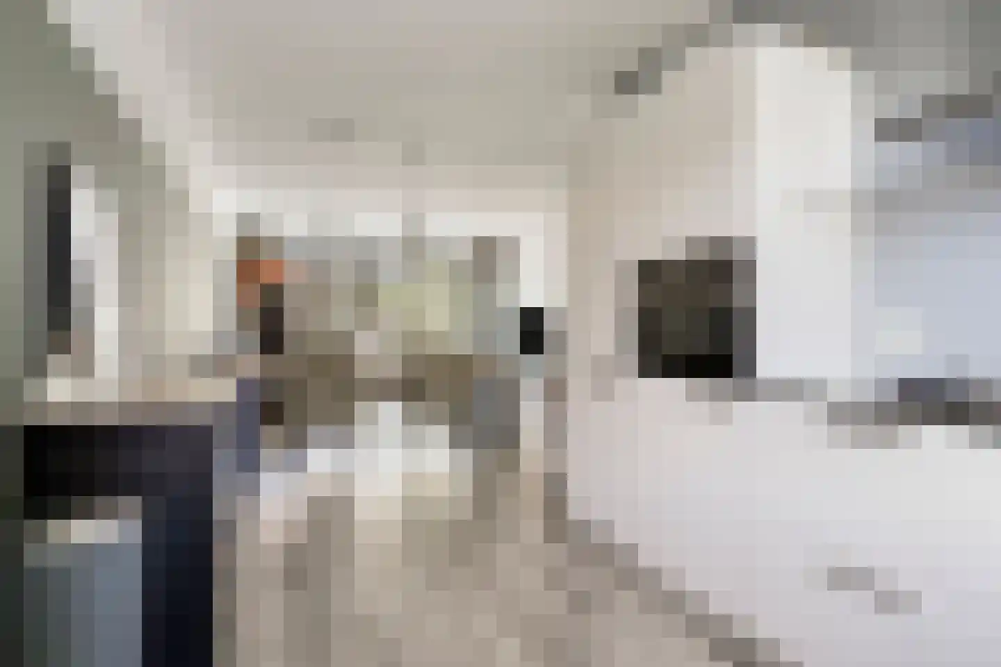 Orlofflaan 39 Barneveld thumbnail 13