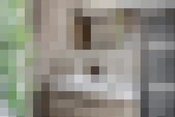 Orlofflaan 42 Barneveld thumbnail 23