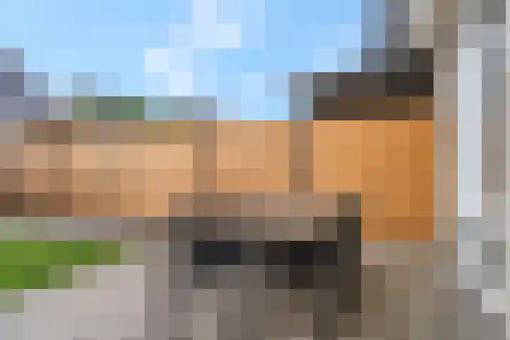 Orlofflaan 42 Barneveld thumbnail 31
