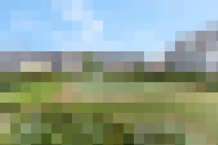 Orlofflaan 42 Barneveld thumbnail 35