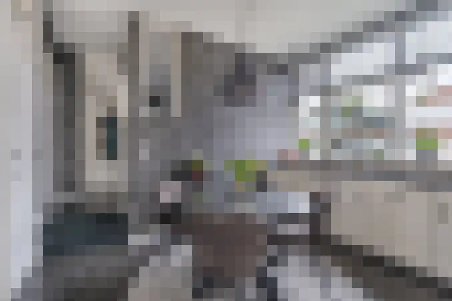 Ormelingstraat 12 Nederhemert thumbnail 10
