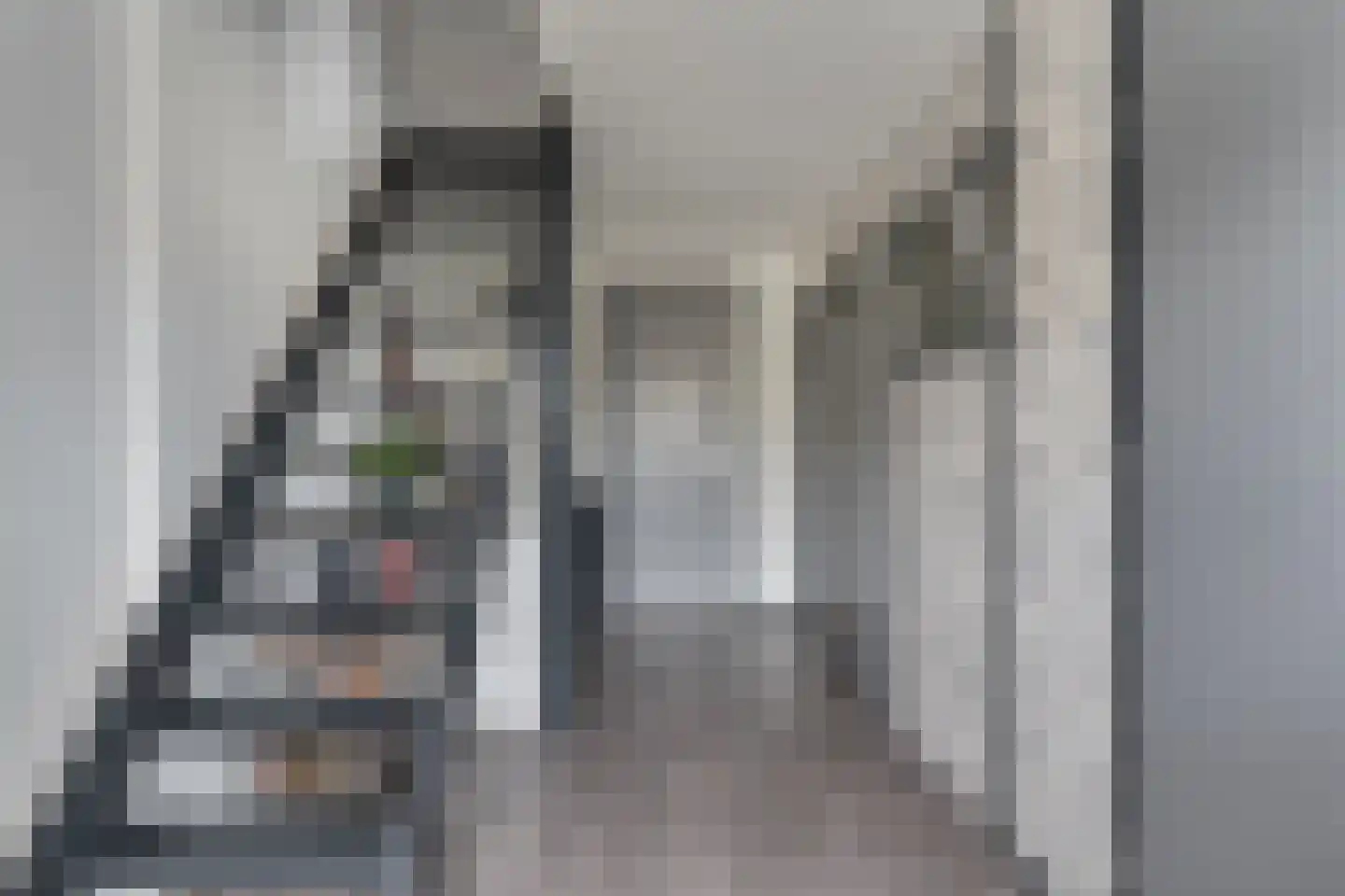 Ormelingstraat 12 Nederhemert thumbnail 25