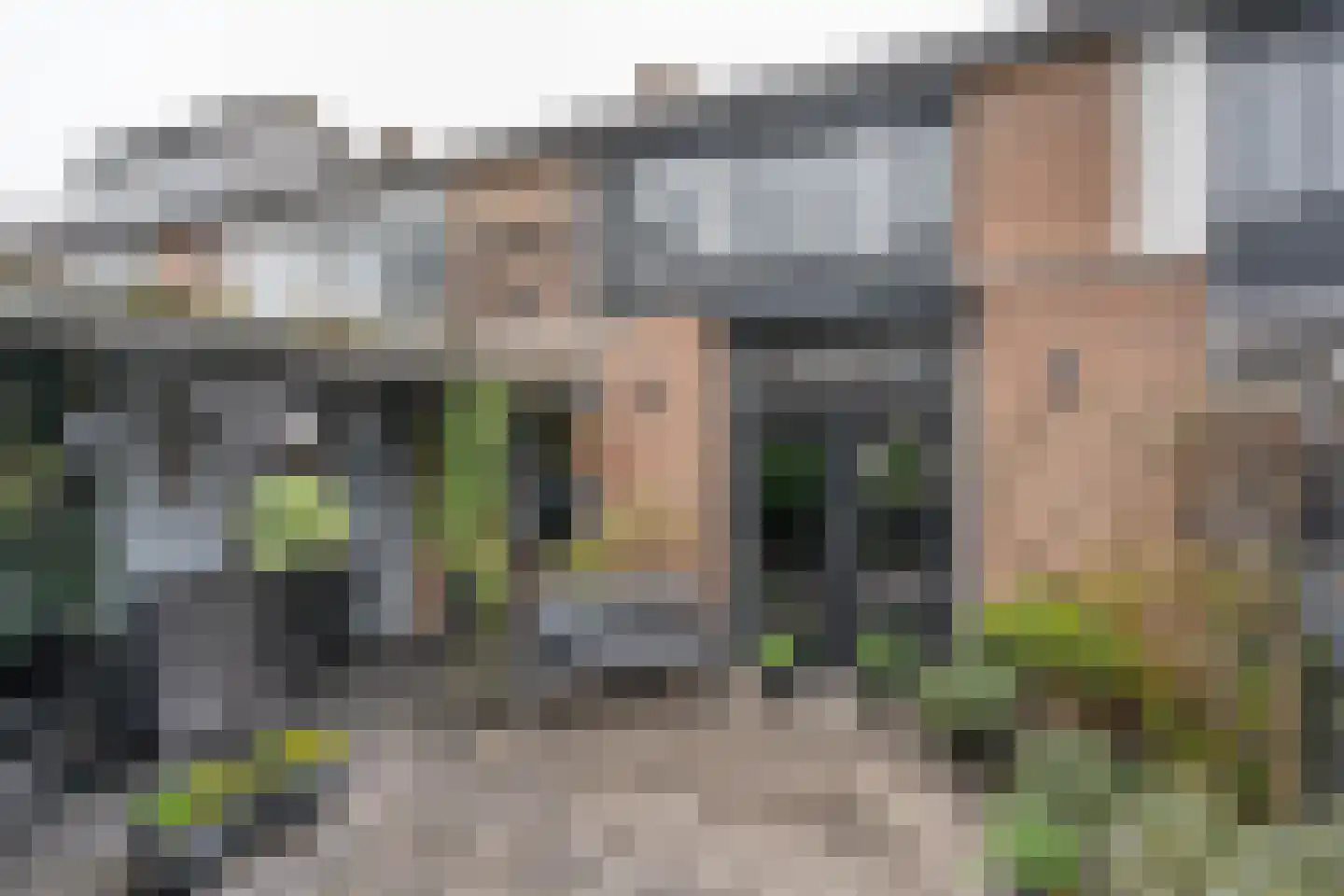 Ormelingstraat 12 Nederhemert thumbnail 29