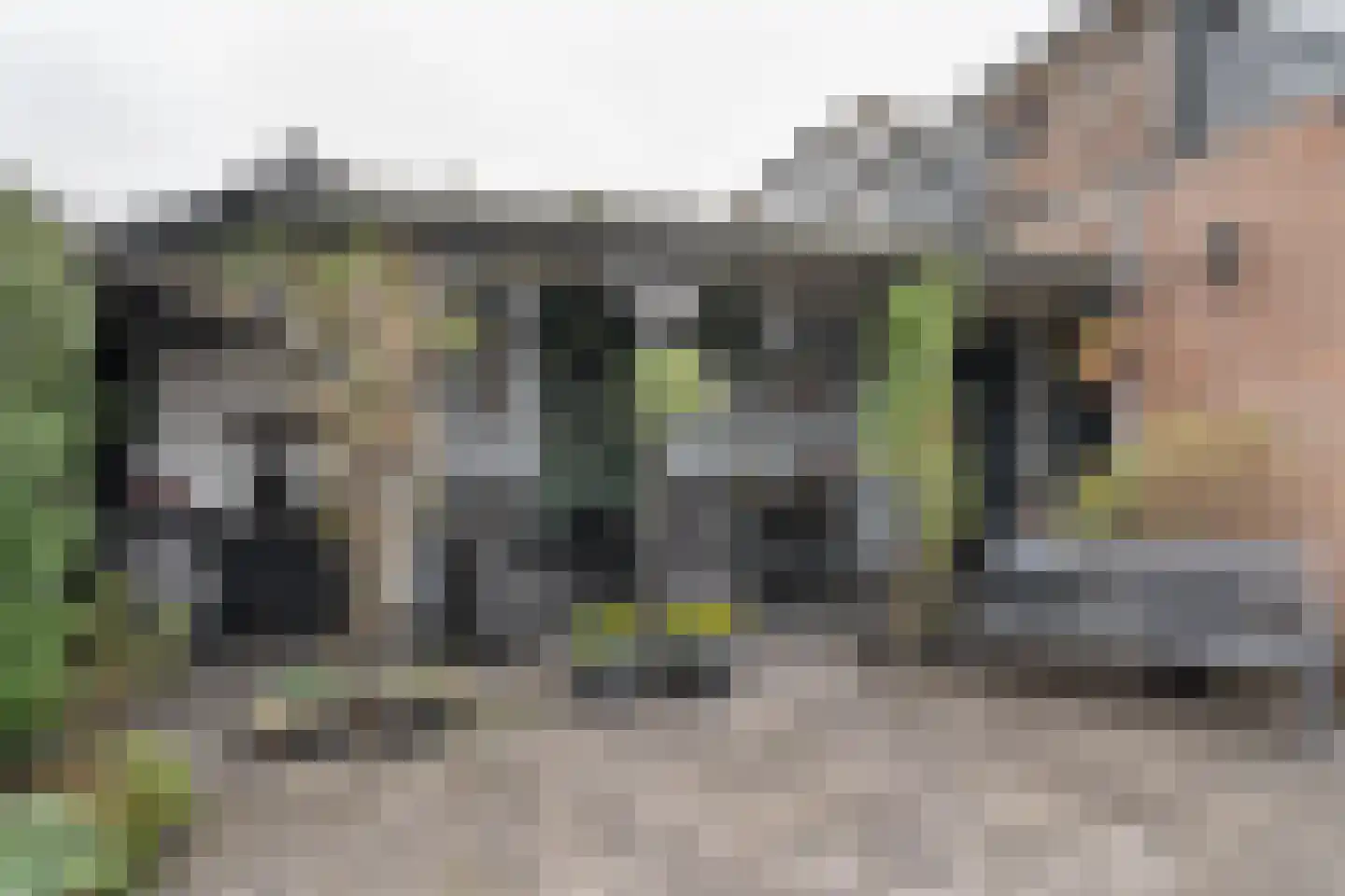 Ormelingstraat 12 Nederhemert thumbnail 30