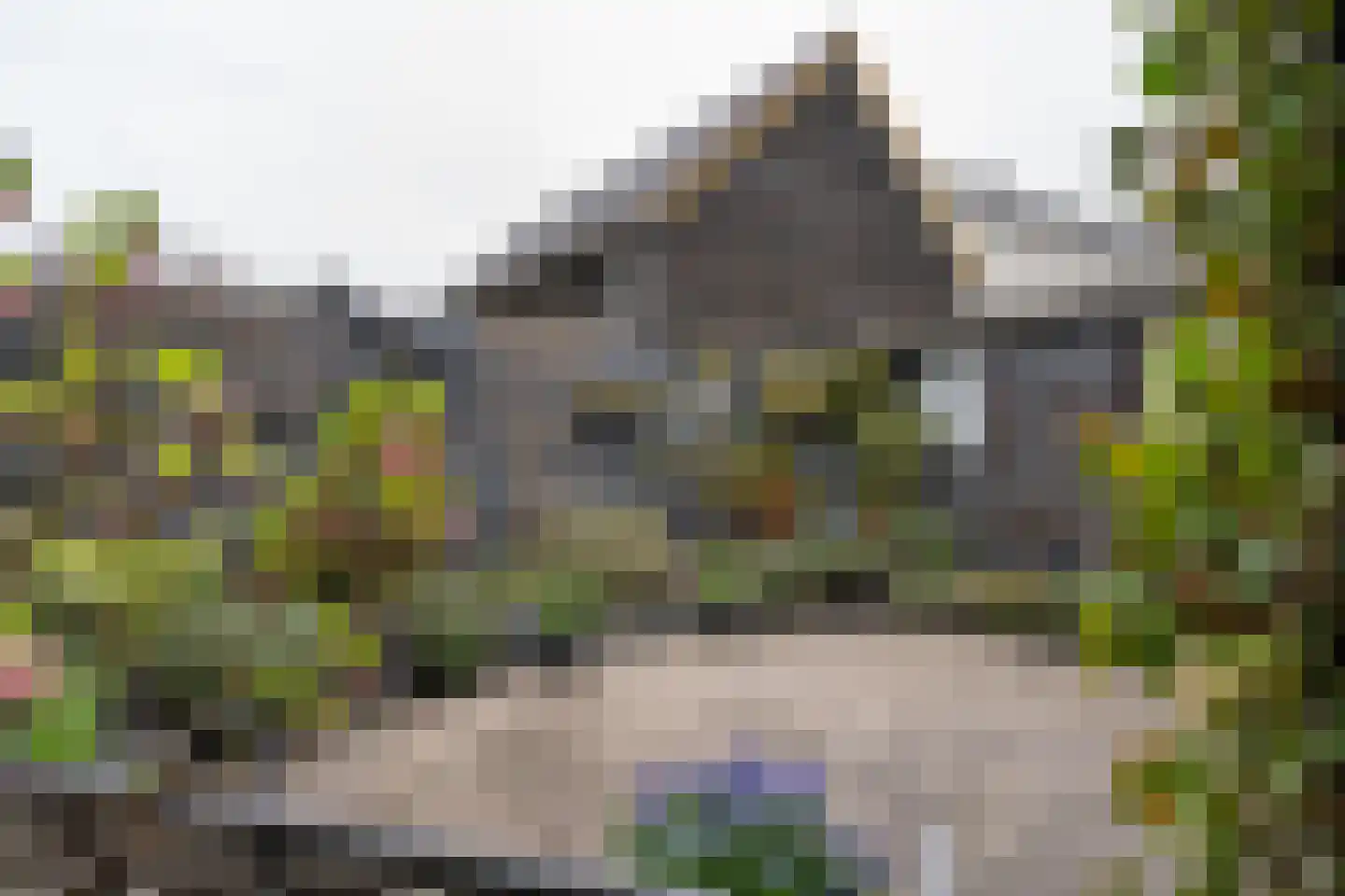 Ormelingstraat 12 Nederhemert thumbnail 31