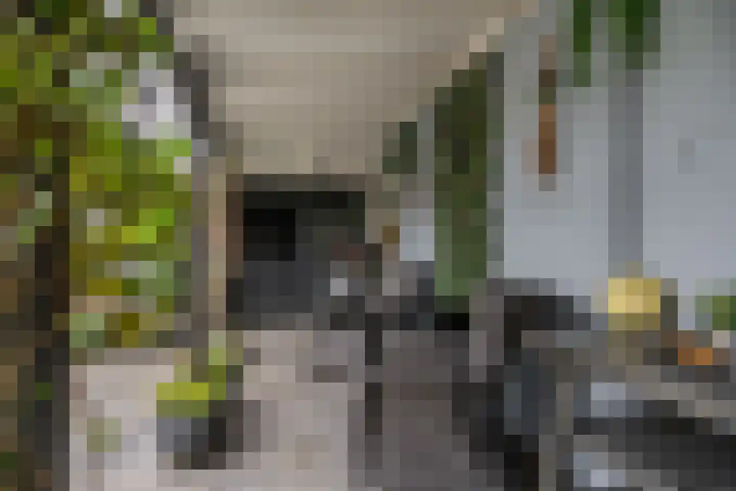Ormelingstraat 12 Nederhemert thumbnail 32