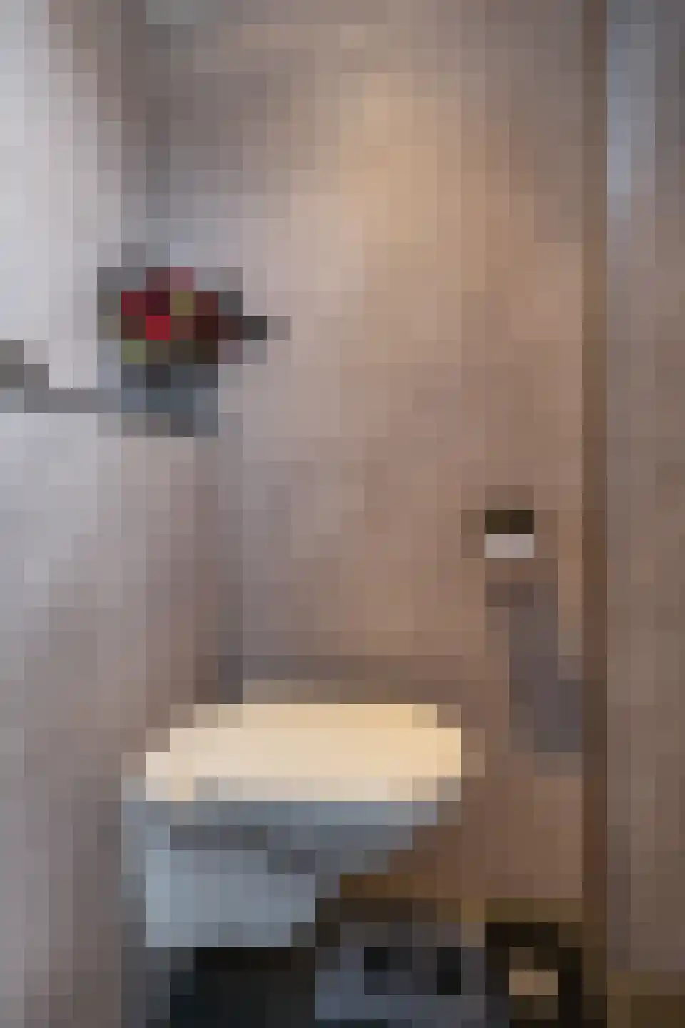 Ormelingstraat 12 Nederhemert thumbnail 9