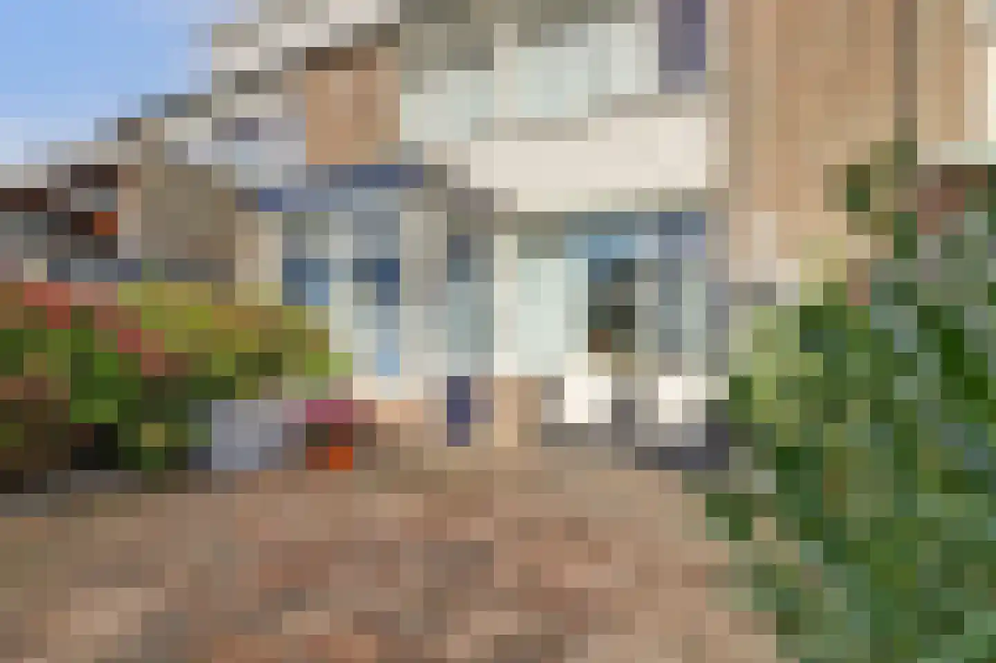 Ormelingstraat 26 Nederhemert thumbnail 25