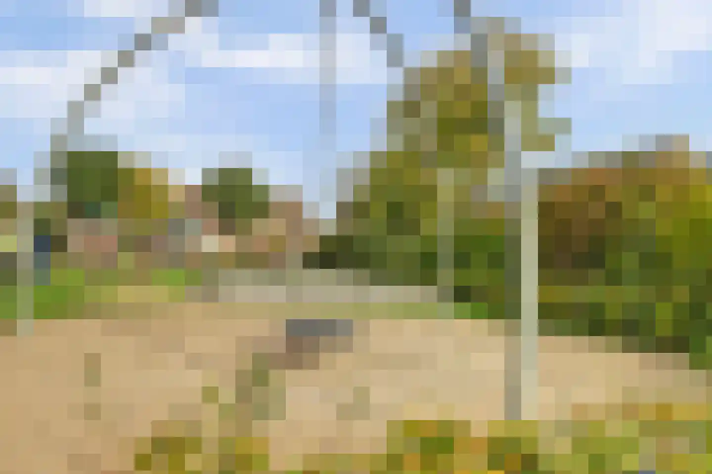 Ormelingstraat 26 Nederhemert thumbnail 34