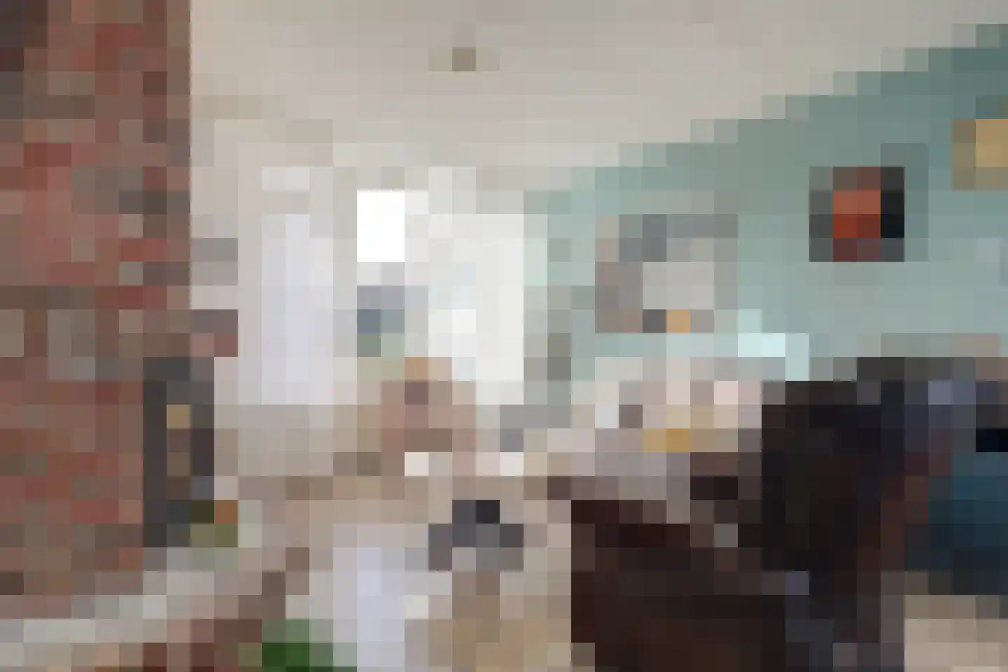 Ormelingstraat 26 Nederhemert thumbnail 4