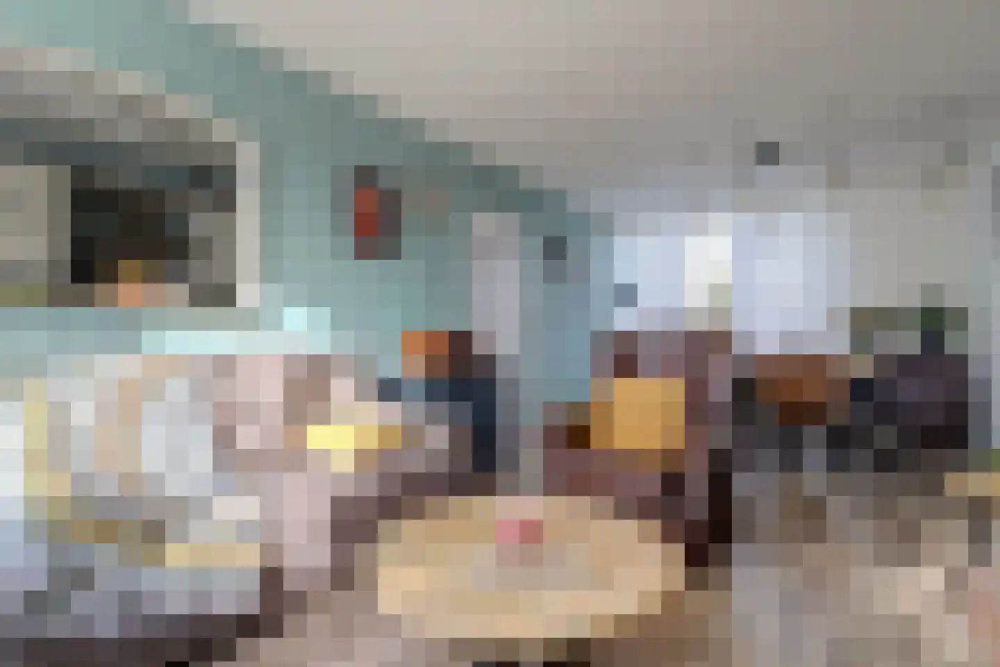 Ormelingstraat 26 Nederhemert thumbnail 5