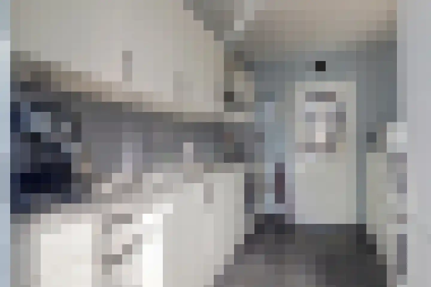 Ormelingstraat 26 Nederhemert thumbnail 9