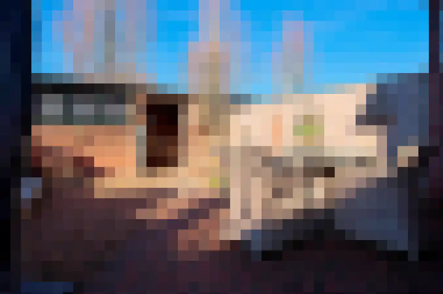 Ormelingstraat 7 Nederhemert thumbnail 15