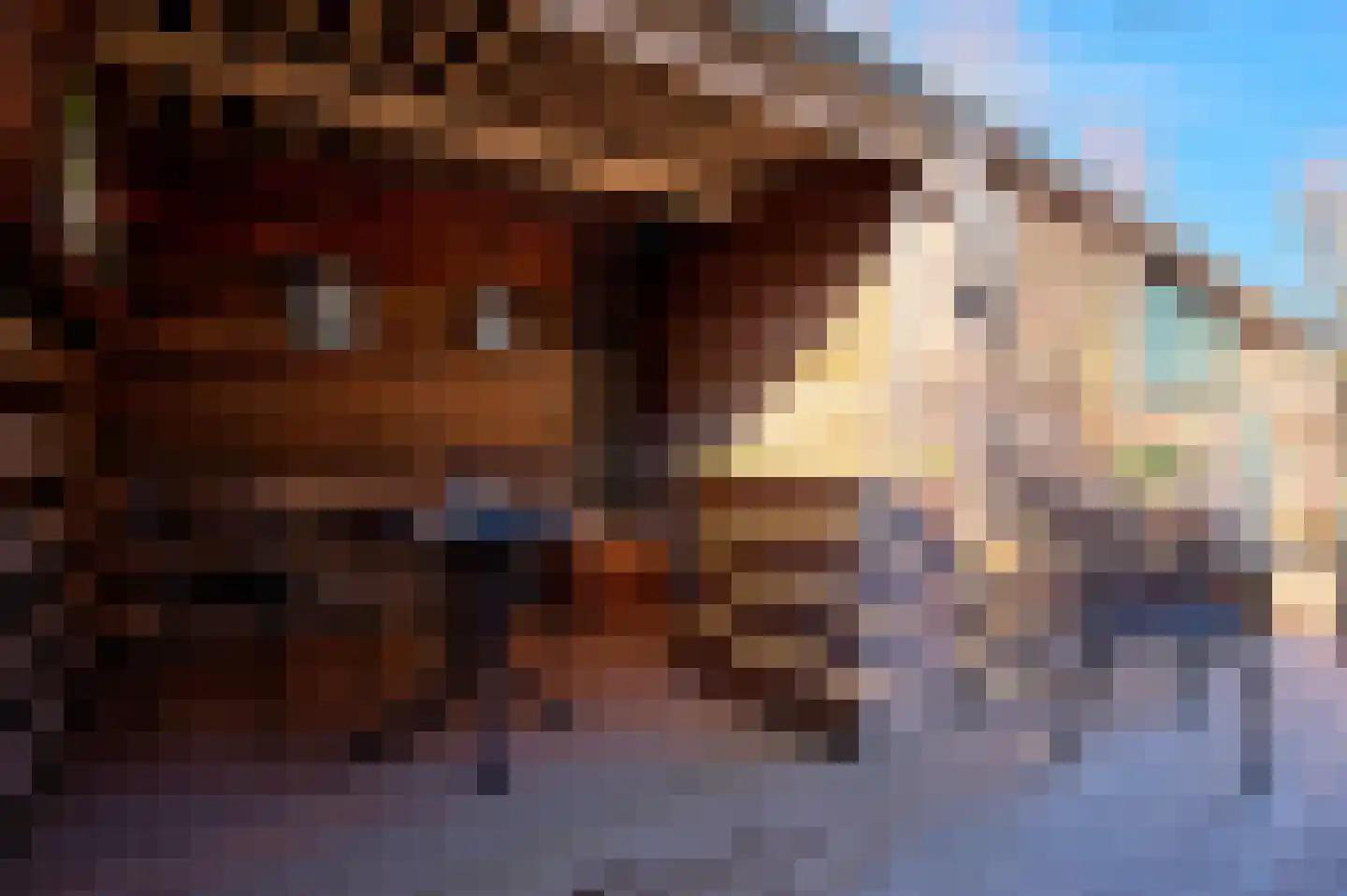 Ormelingstraat 7 Nederhemert thumbnail 17