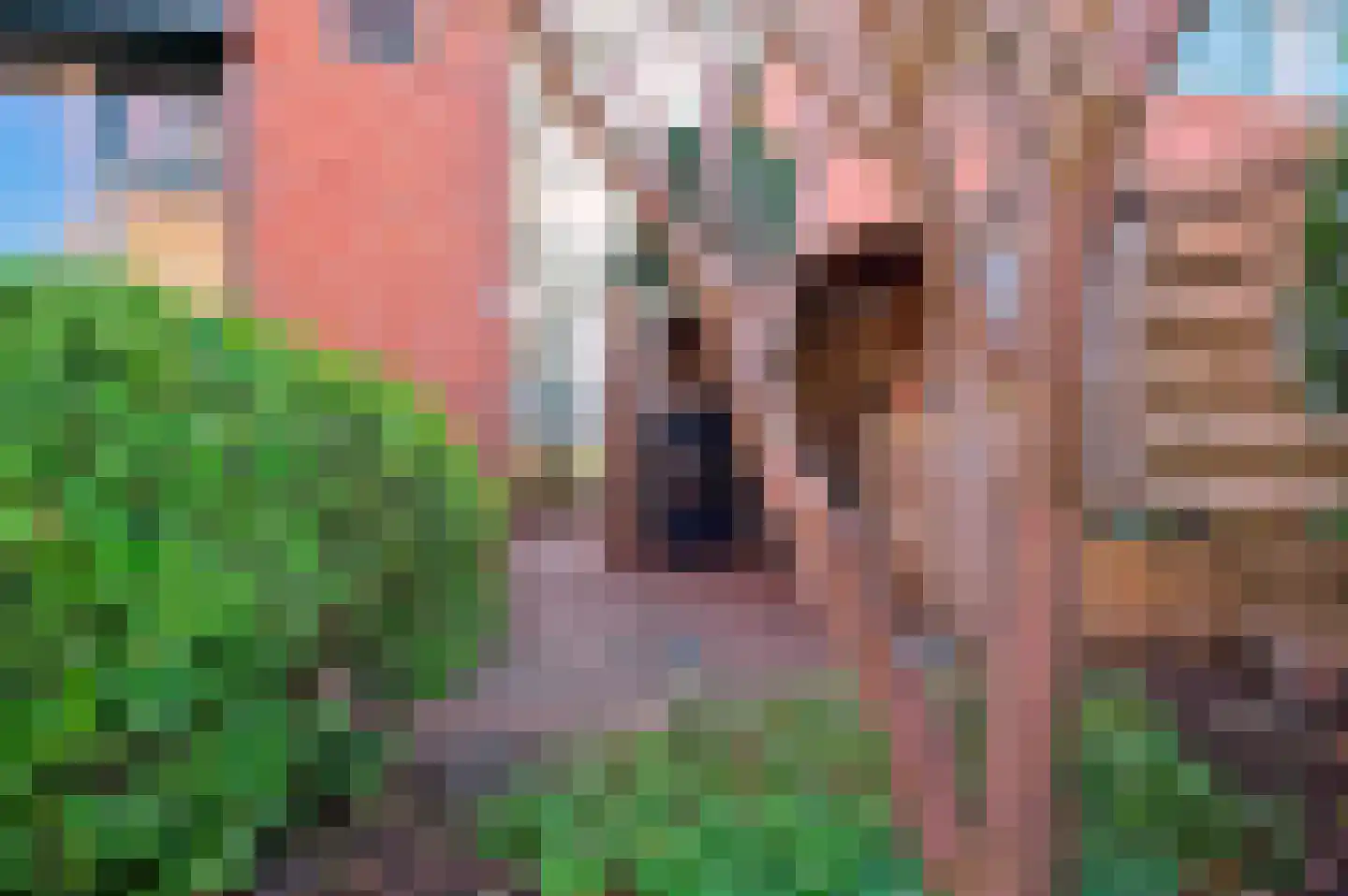 Ormelingstraat 7 Nederhemert thumbnail 18