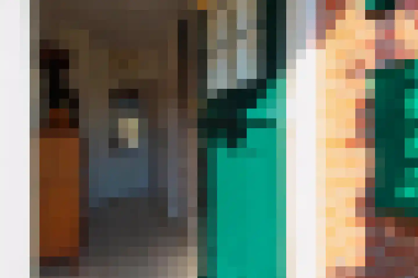 Ormelingstraat 7 Nederhemert thumbnail 19