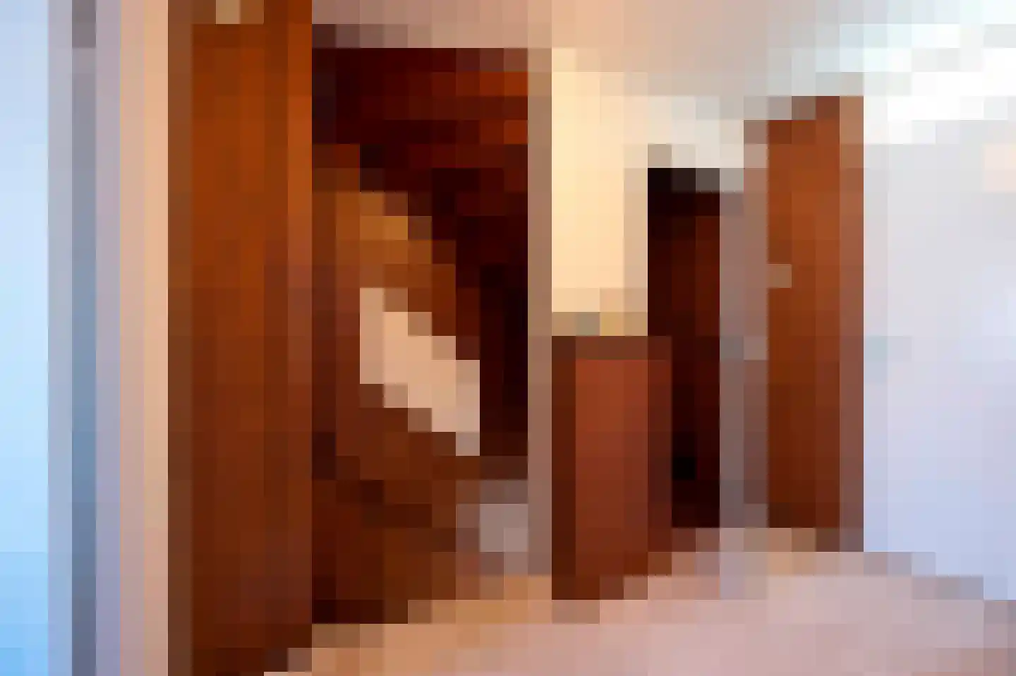 Ormelingstraat 7 Nederhemert thumbnail 32