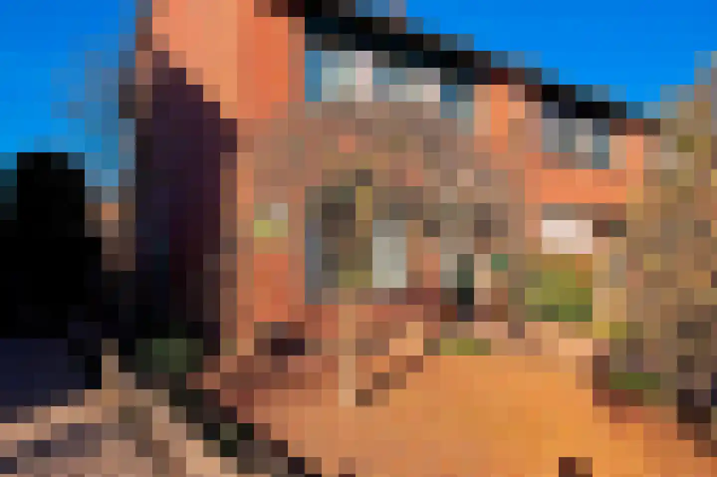 Ormelingstraat 7 Nederhemert thumbnail 8