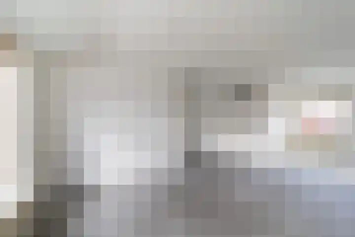 Ornament 11 Beuningen Gld thumbnail 10