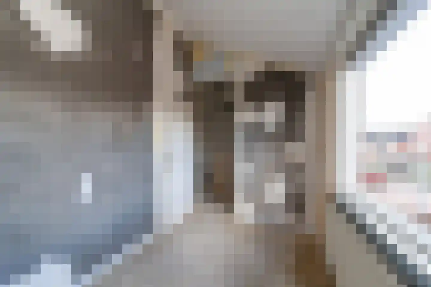 Ornament 11 Beuningen Gld thumbnail 17