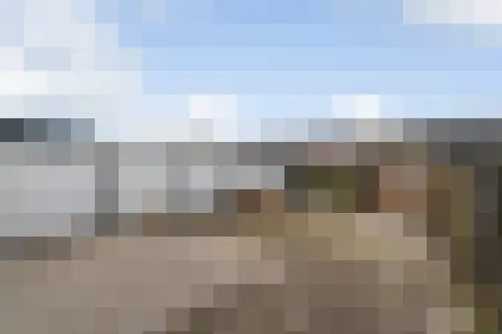 Ornament 11 Beuningen Gld thumbnail 20