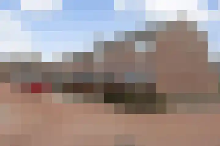 Ornament 11 Beuningen Gld thumbnail 21