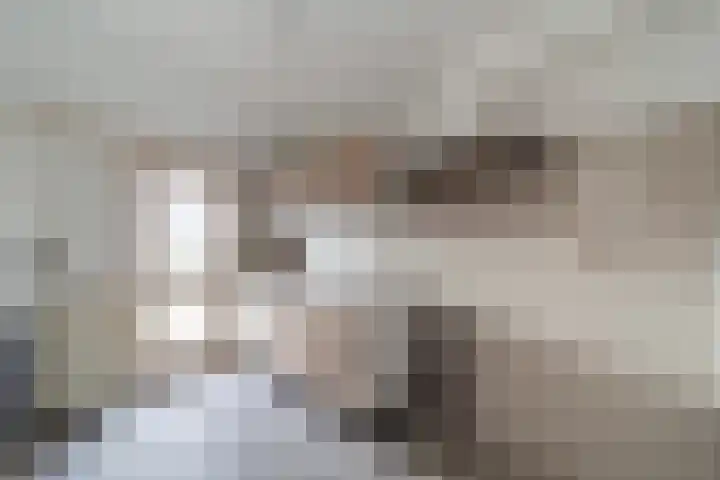 Ornament 11 Beuningen Gld foto 3