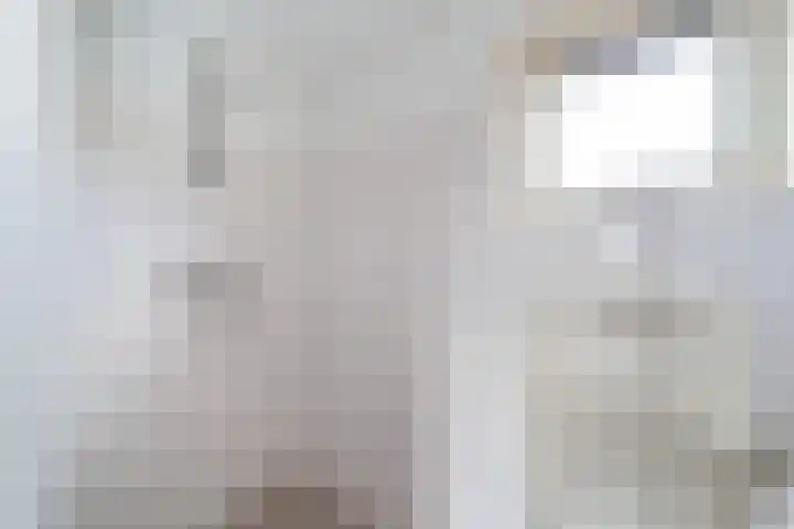 Ornament 11 Beuningen Gld thumbnail 4