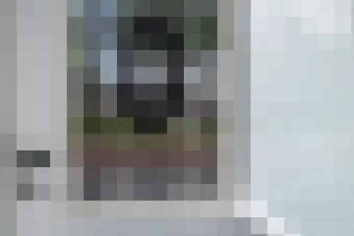 Ornament 2 Beuningen Gld thumbnail 11