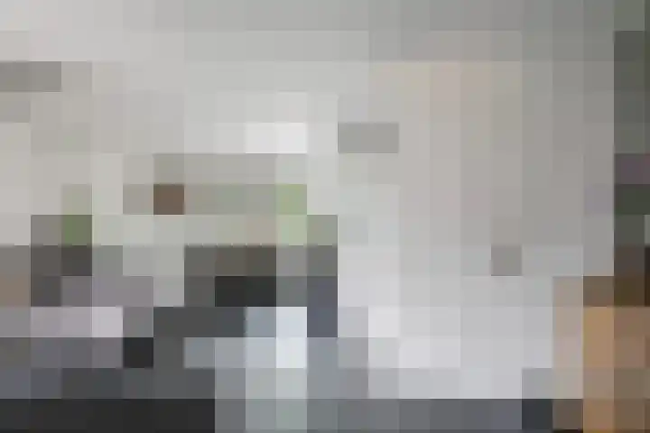 Ornament 2 Beuningen Gld thumbnail 14
