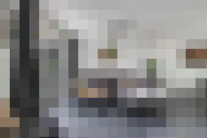 Ornament 2 Beuningen Gld thumbnail 15