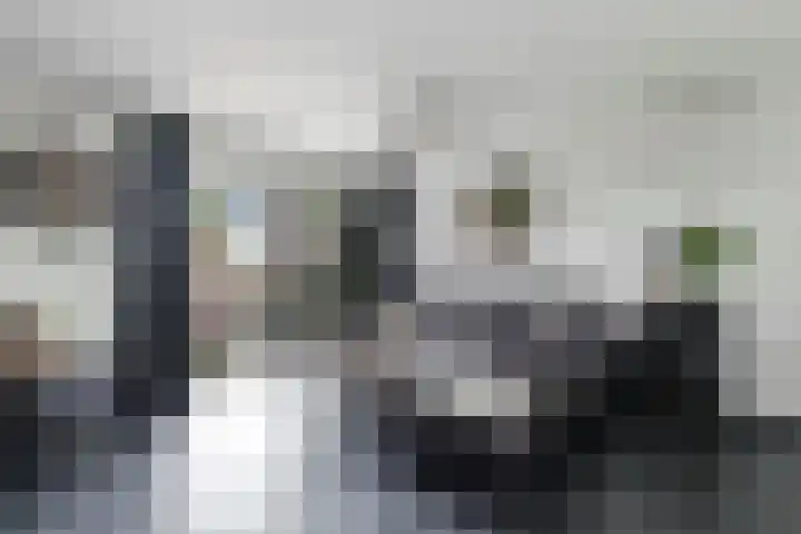 Ornament 2 Beuningen Gld thumbnail 22