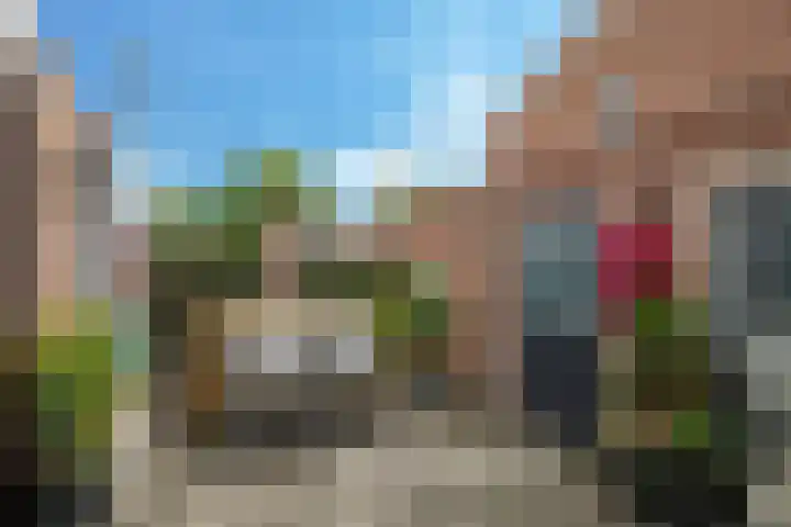 Ornament 2 Beuningen Gld thumbnail 43